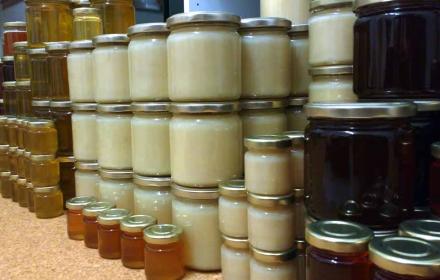 Wie bringt man die Bienen dazu, nur den bei einer Pflanzenart zu sammeln?